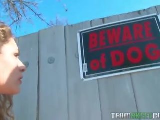 Extraordinary Dog Walker Get Punished